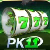 pk11 Game